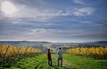 Wieliczka Vineyard: Wine tasting with local snacks