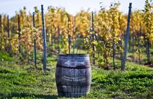 Wieliczka Vineyard: Wine tasting with local snacks