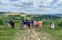 Wieliczka Vineyard: Wine tasting with local snacks