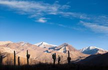 Salta: Calchaquí Valley Scenic Drive and Day Trip to Cachi
