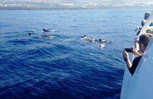 Boat trip along the Northwest Coast of La Palma