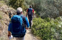Private 3-Hour Hiking in Mount Ymittos