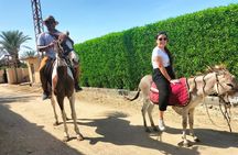 Enjoy Fayoum & Sandboarding with Egyptian Lunch at Tunis village. 
