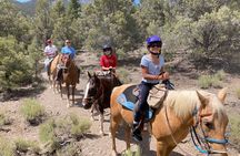 Las Vegas Horseback Riding in Cool Mountain Adventure