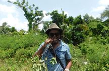  Day Tour into the Story of Emancipation and Slavery in Guyana