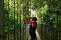 Hanging Bridges, Arenal Volcano, Waterfall, Hot Springs Full day