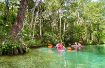 Clear Kayak Tours in Weeki Wachee