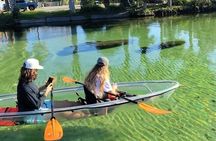 Clear Kayak Tours in Weeki Wachee