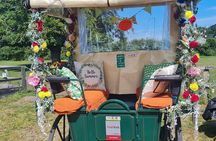  Horse drawn carriage ride york