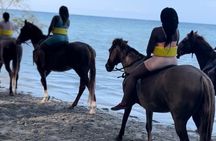 Horseback Ride & Swim guided Tour From Montego Bay with Pickup