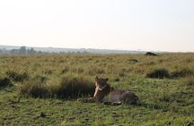 2 Days Tsavo East National Park Tour From Mombasa/Diani (1 Night)