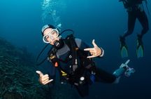 Full-Day Discover Scuba Diving Tour for Beginners in Tulamben