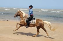 3-hour Private Ride between beach and dunes