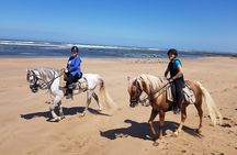 3-hour Private Ride between beach and dunes