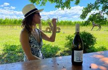 Winery tour and tasting in Grado