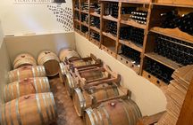 Winery tour and tasting in Grado