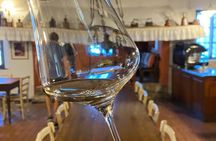 Winery tour and tasting in Grado