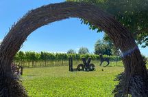 Family Winery Tour and Tasting in Grado
