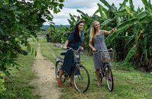 Private Bicycle Tour to Chiang Mai and Thai Cooking Class