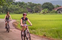 Private Bicycle Tour to Chiang Mai and Thai Cooking Class