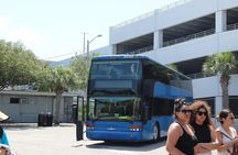 Sun, Snorkel & Sip : Key West Day Trip from Miami