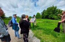 A Tour of Glastonbury, Guided by the Trees. 