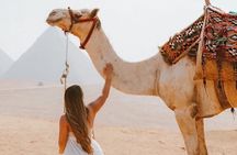 Cairo Layover Giza Pyramids & Sphinx with private tour Guide 
