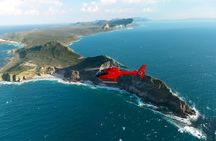 Cape of Good Hope Helicopter Private Tour with Stellenbosch Wine Tasting & Lunch