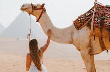 Full Day Tour Giza Pyramids, Sphinx and Egyptian Museum &Felucca 