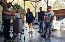 Santiago: Maipo Valley Tour, Wine, Pisco, and Lunch Included