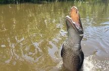 Airboat Swamp Tour with Transportation from New Orleans