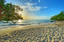 Healing Counseling Session