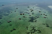 Island Hopping Experience: Snorkeling & Bamboo Cottages!