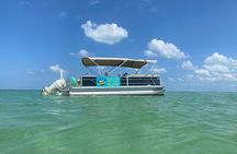 4 Hour Dolphin and Sandbar Cruise