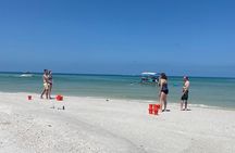 4 Hour Dolphin and Sandbar Cruise