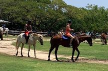 Sandy Bay Full-Day Private Adventure with Horseback Ride