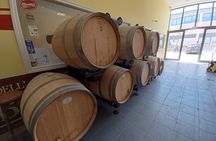 Elba Bike Tour with Beer Tasting from Portoferraio