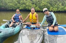 Guided Island EcoTour: CLEAR/Standard Kayak, SUP - Bonita Springs