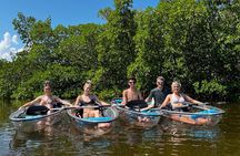 Guided Island EcoTour: CLEAR/Standard Kayak, SUP - Bonita Springs