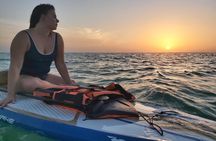 Paddle Board Classes in Holbox with Pick up