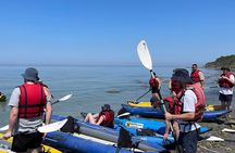 Kayak in Cape of Rodon,Tirana Albania Tour (ARG)