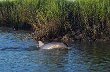 Morning Beaufort River Tour