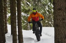 Electric Fat Bike tour in Tromsø