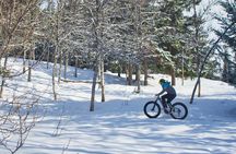 Electric Fat Bike tour in Tromsø