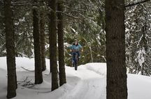 Electric Fat Bike tour in Tromsø