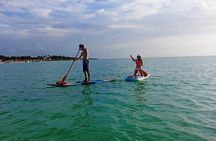 Paddle Board Classes in Holbox with Pick up