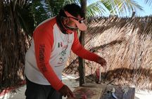 Full Day Tour with Fishing and Snorkeling from Holbox