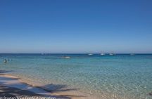 Day Pass @ Paradise Beach + Optional Gumbalimba Animal Sanctuary and/or Zip Line