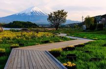 Mt. Fuji Private Tour with English Speaking Driver 
