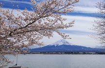 Mt. Fuji Private Tour with English Speaking Driver 